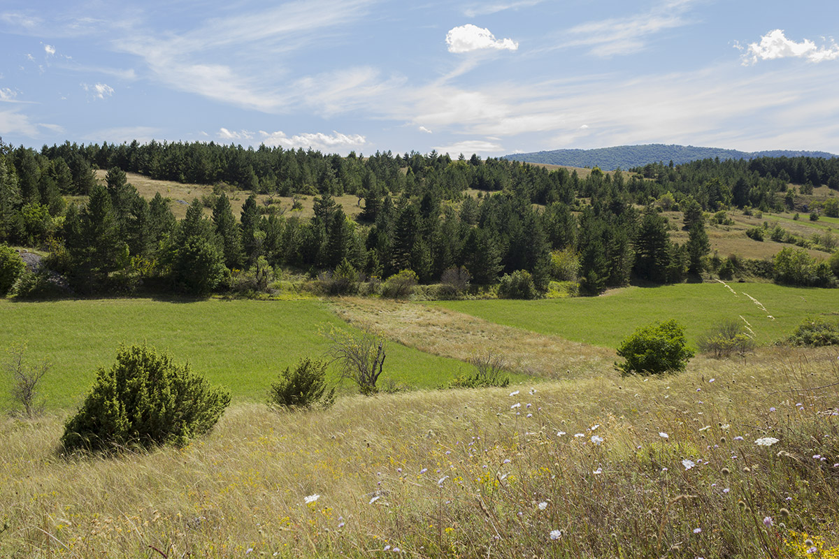 Piana di Campo Imperatore