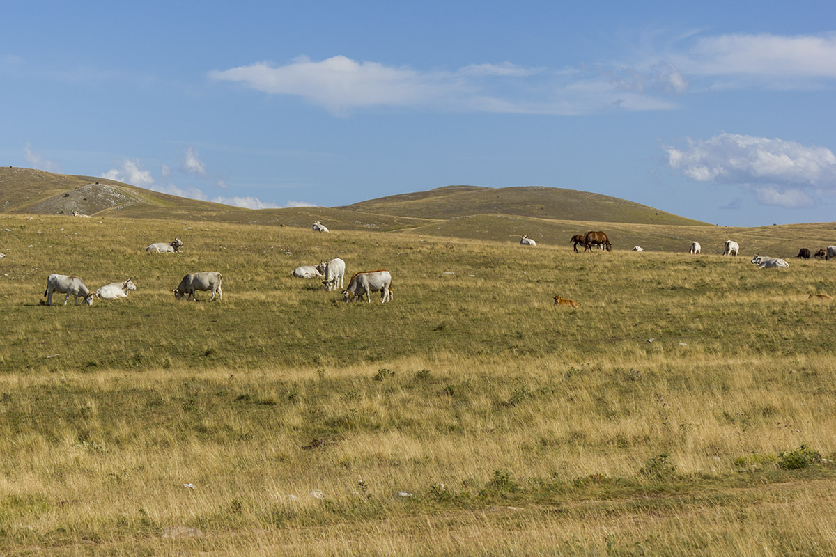 Piana di Campo Imperatore