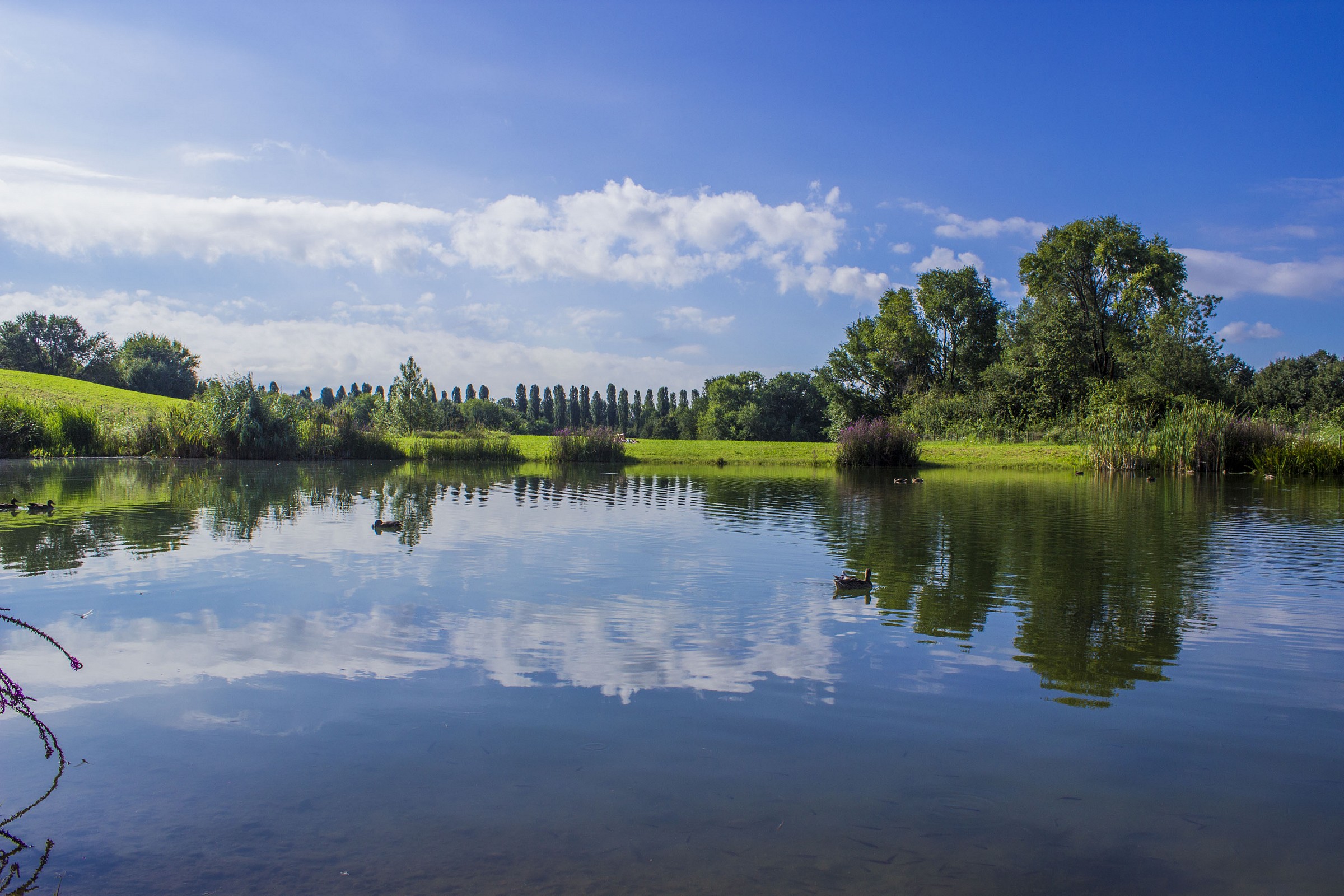 Parco Nord di Milano