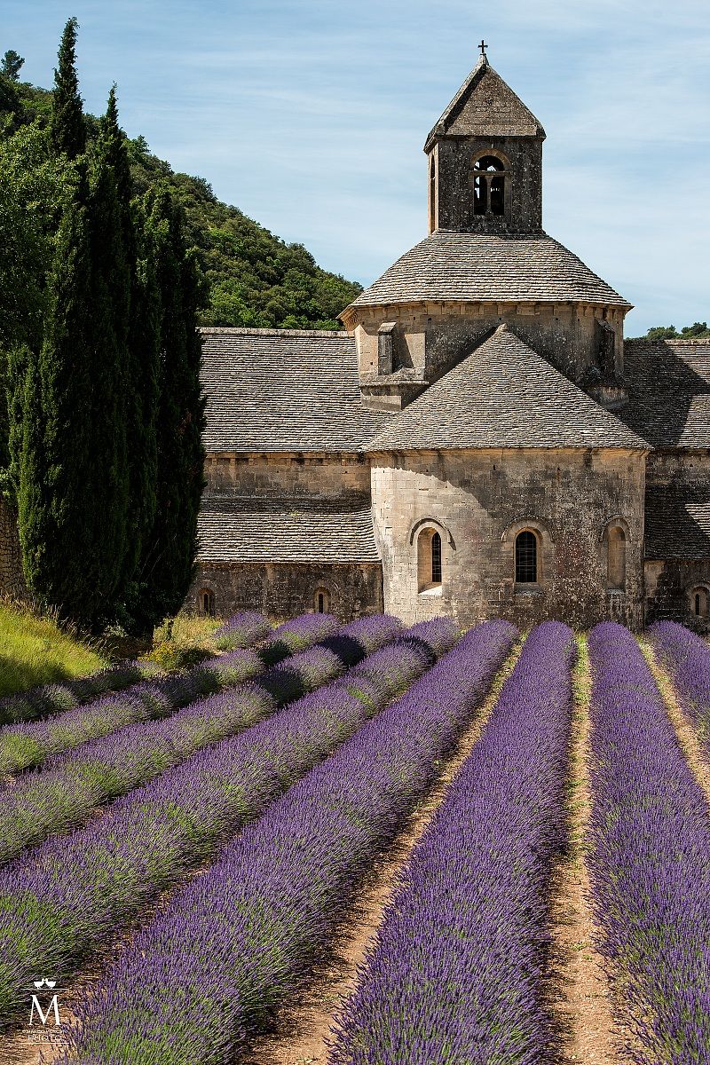 The Abbey of Senanque.