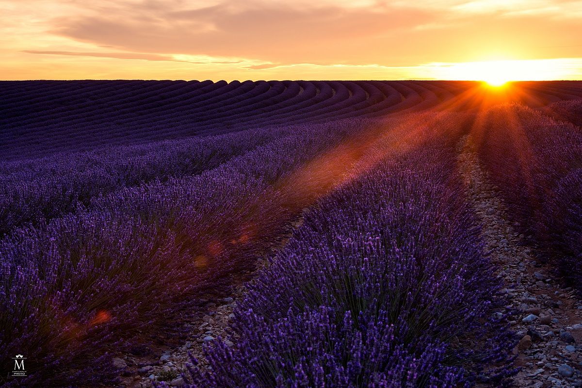 The Last Ray of Sun Valensole.