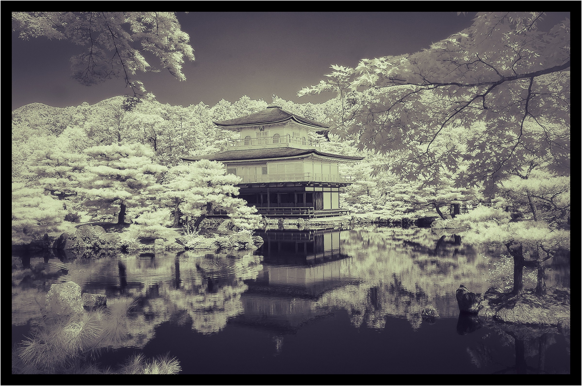Tempio Kinkakuji, Kjoto...   i.r.