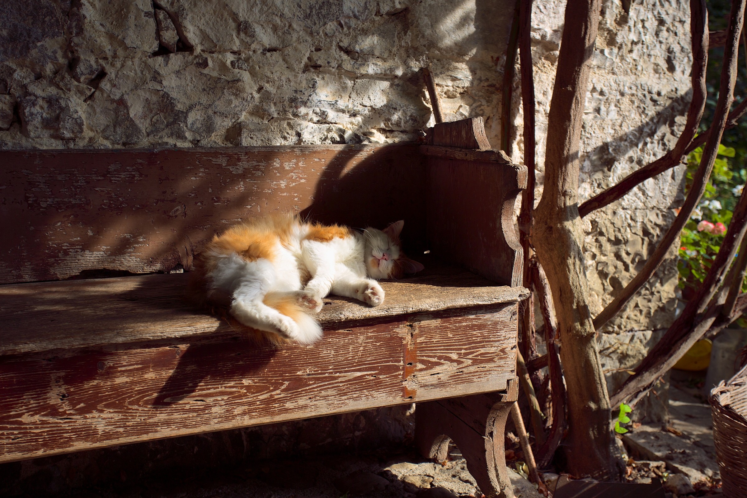 Una mattina in campagna