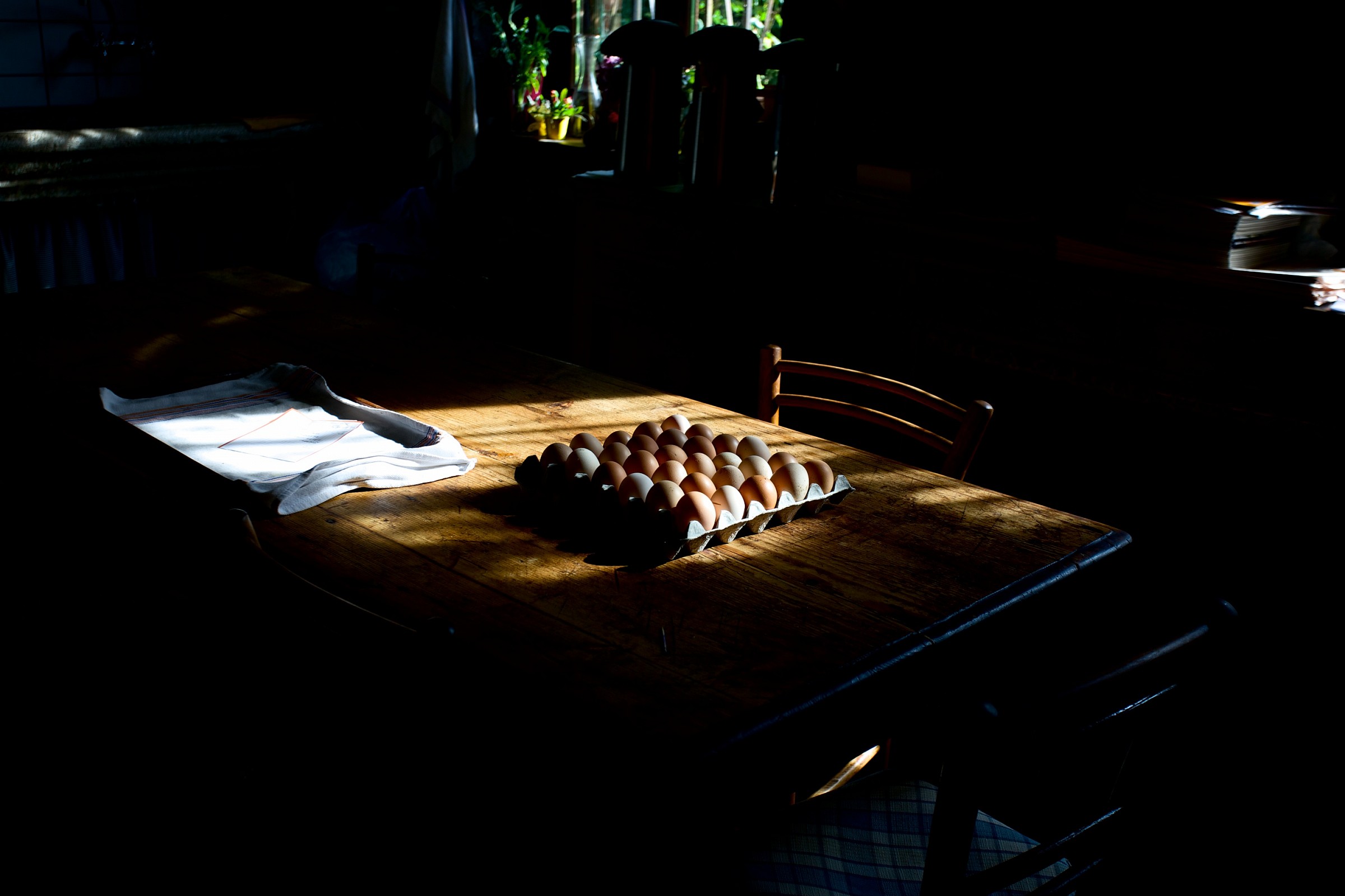 una mattina in campagna