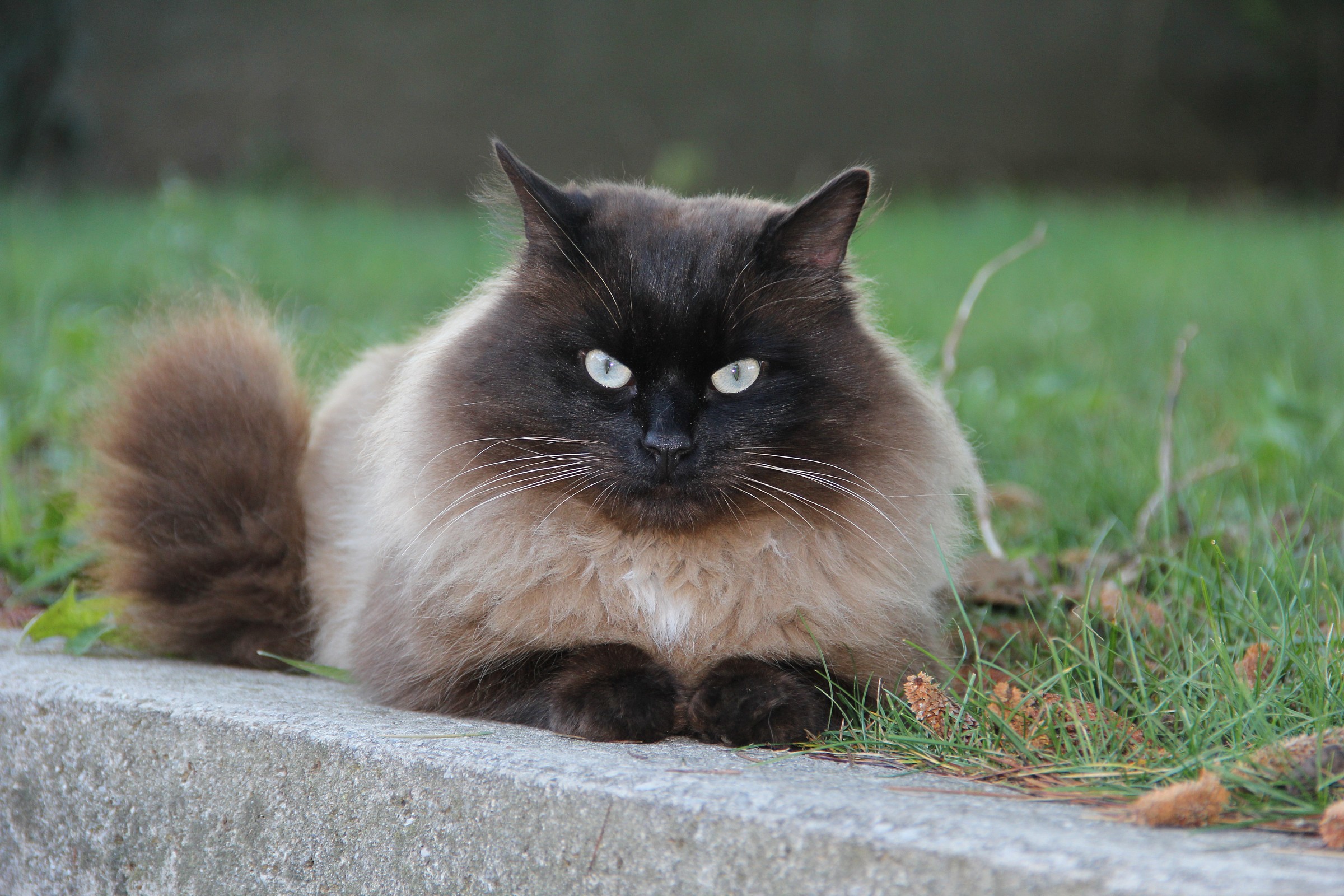 Arturo in posa