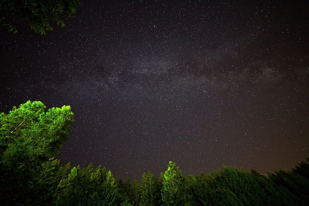 The Milky Way above the forest