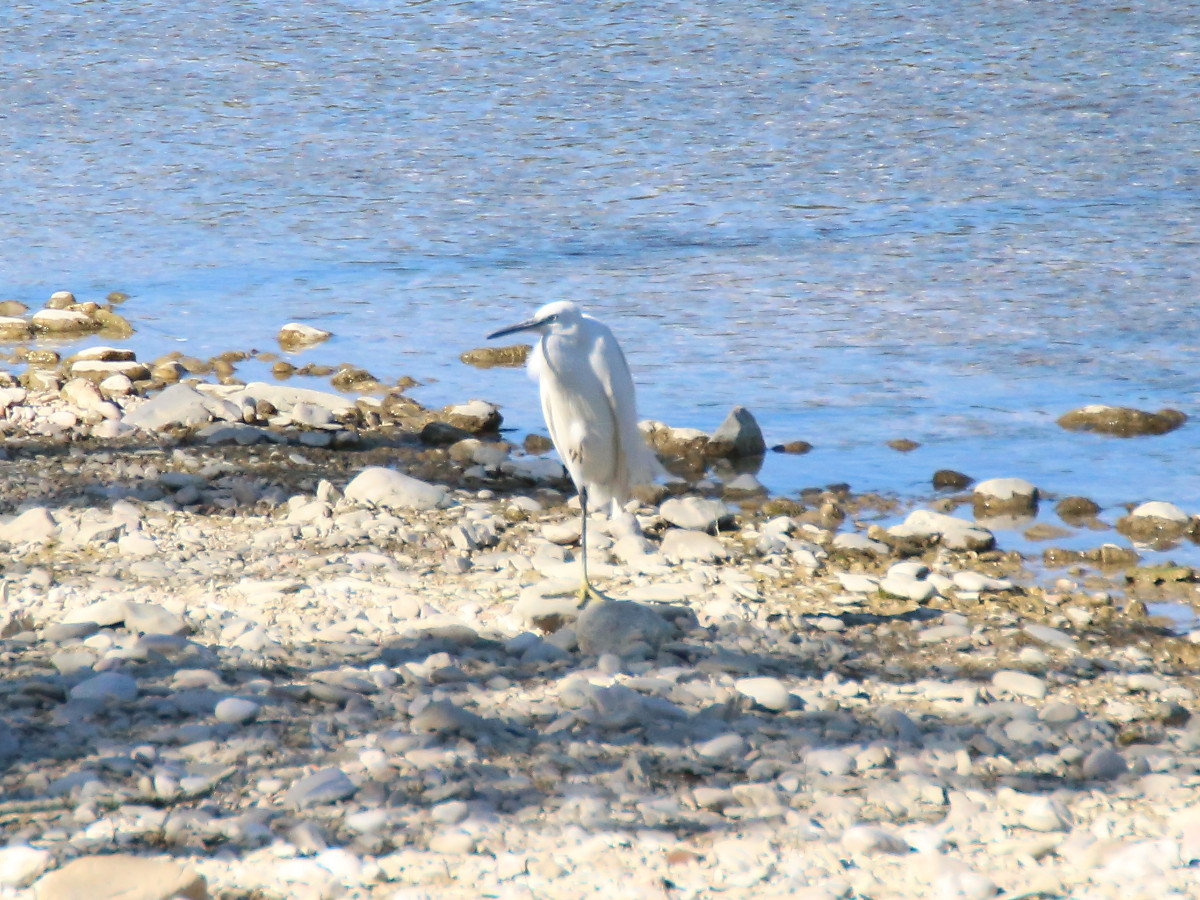 Esino 17/08/2014 #10