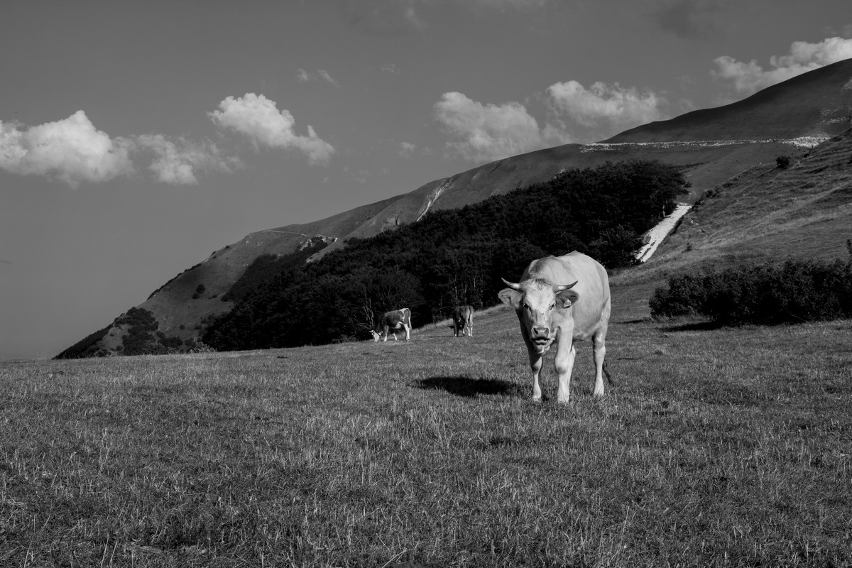 Ma che ti fotografi?!