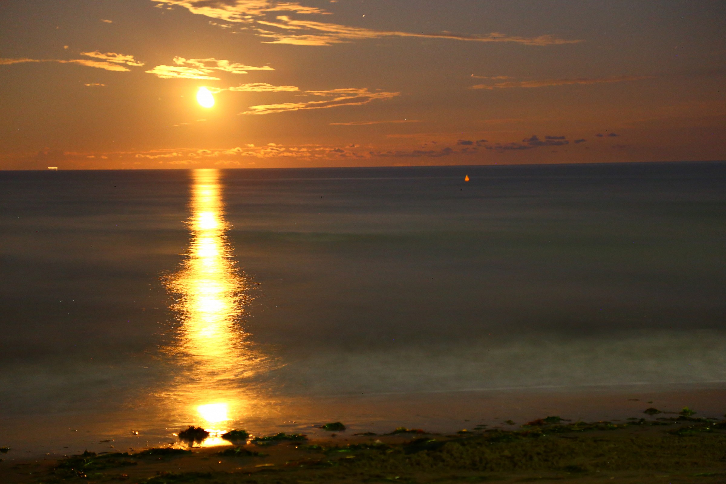 Luna a ferragosto 23:30 , 2014.