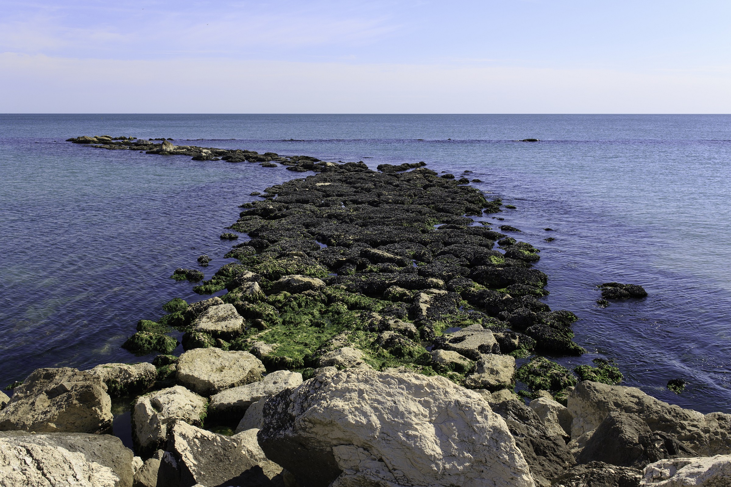 Punto interrogativo inverso