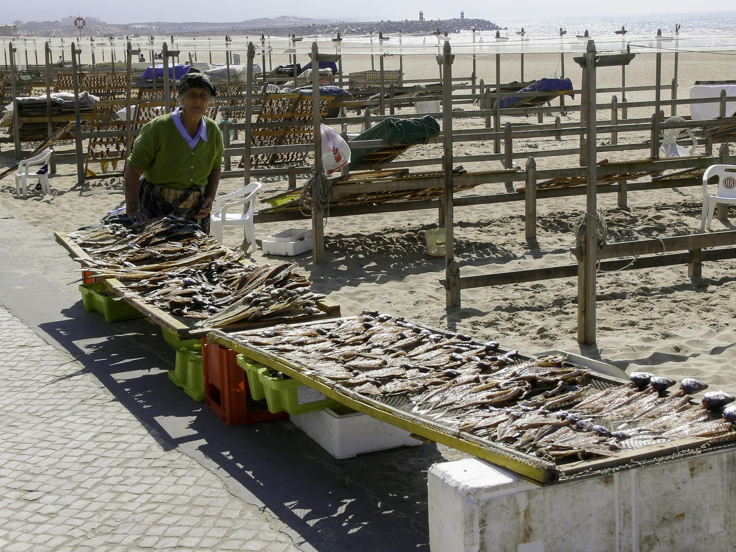 sento già un certo rumore di mandibole!