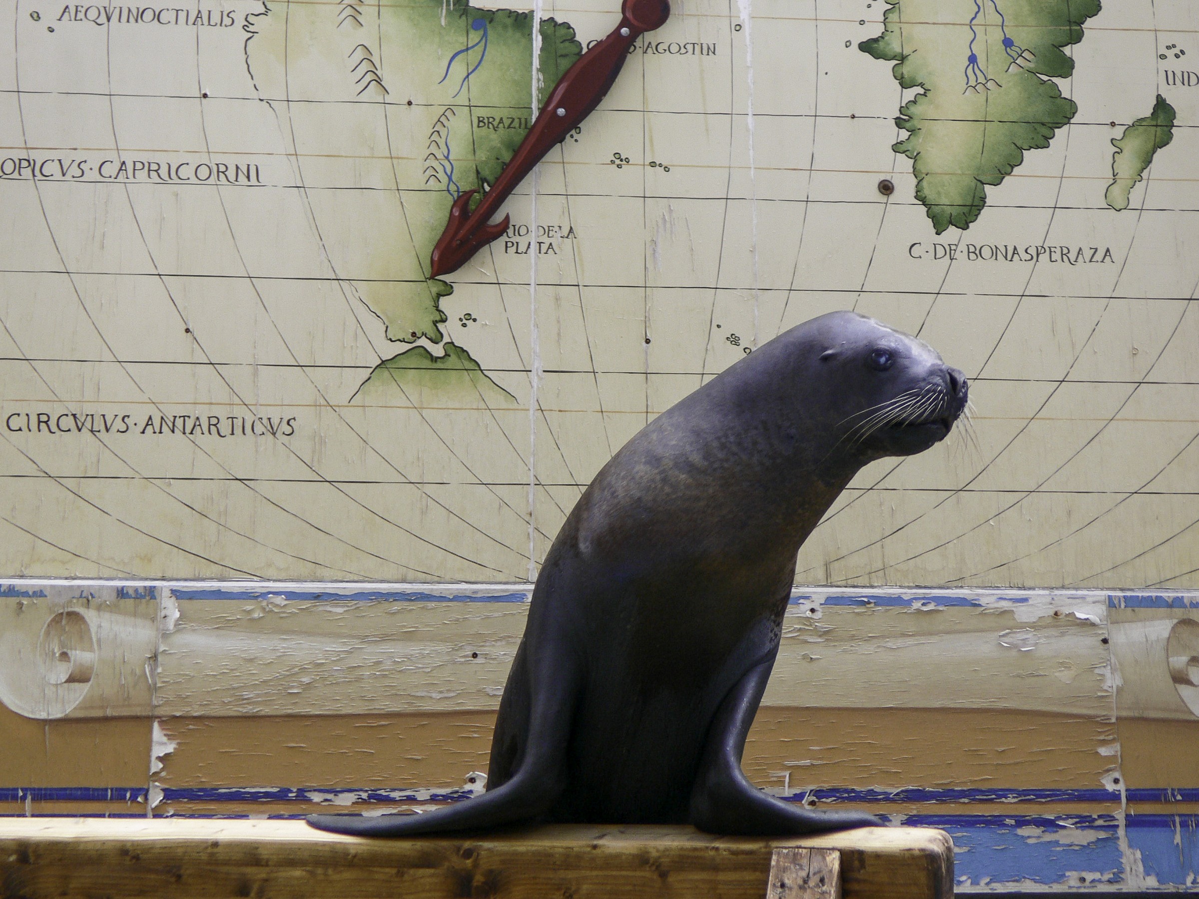 Quello là l'ho gia visto.... Ma dove?