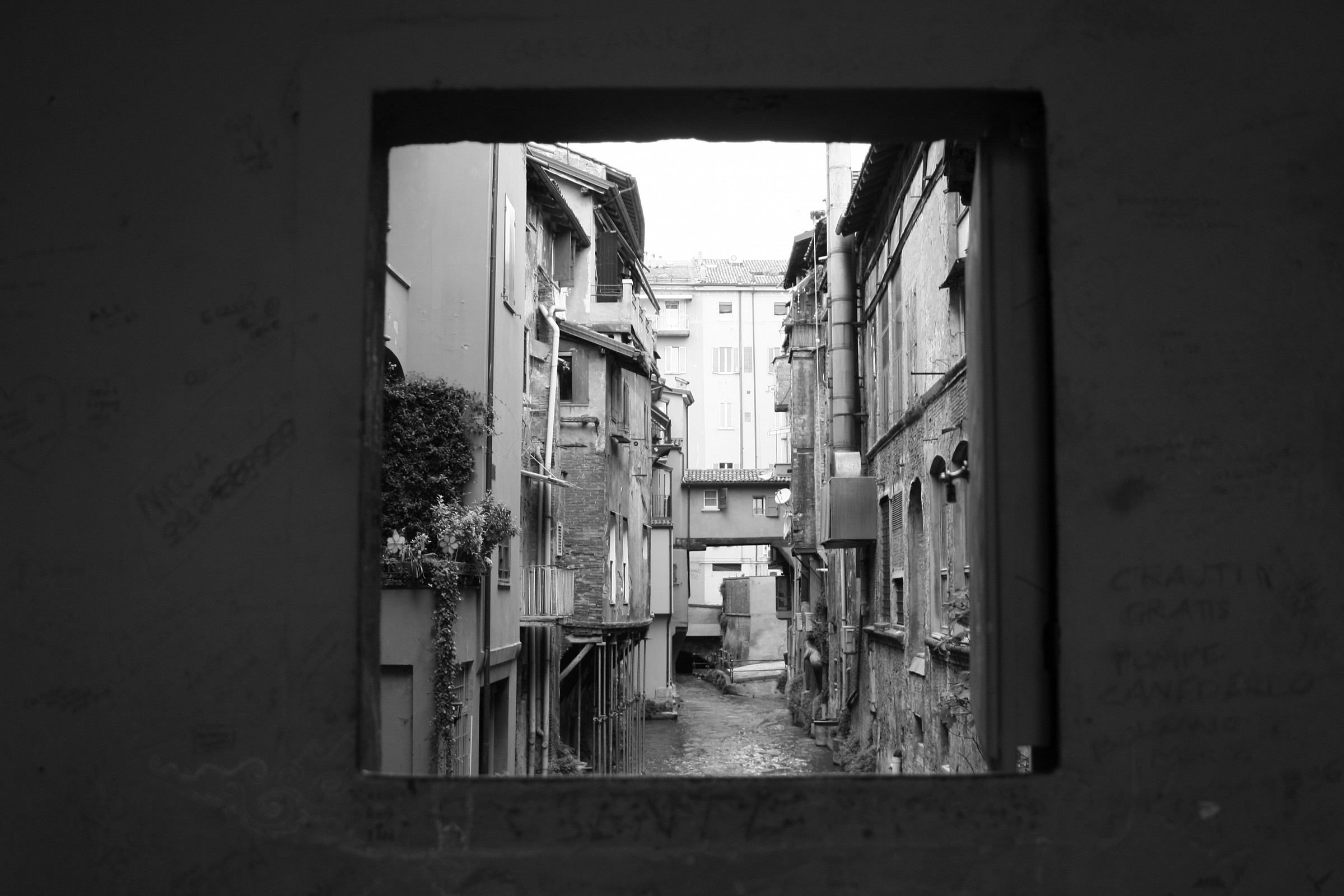 Bologna Canon EOS 1000D + 18-55