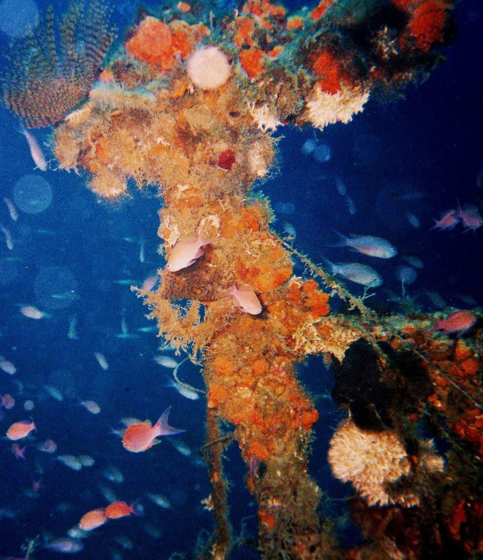 Pennone wreck Laura C