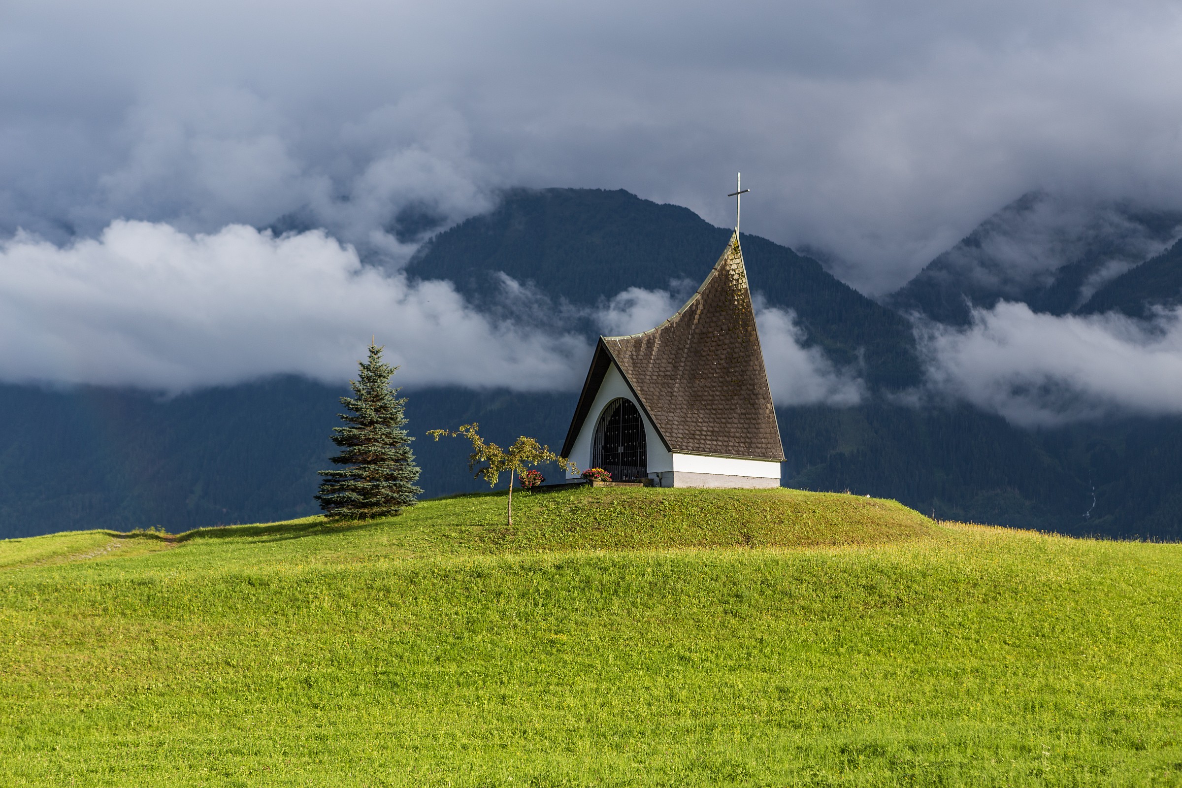 Between Light and Darkness