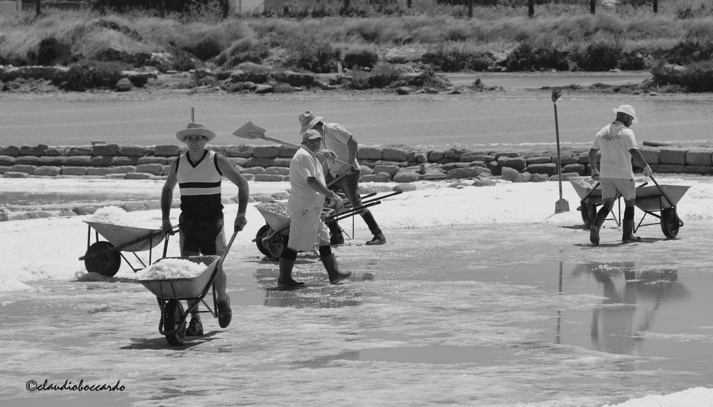 La raccolta del sale