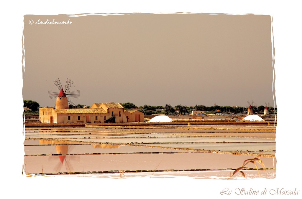 Cartolina del muso del sale