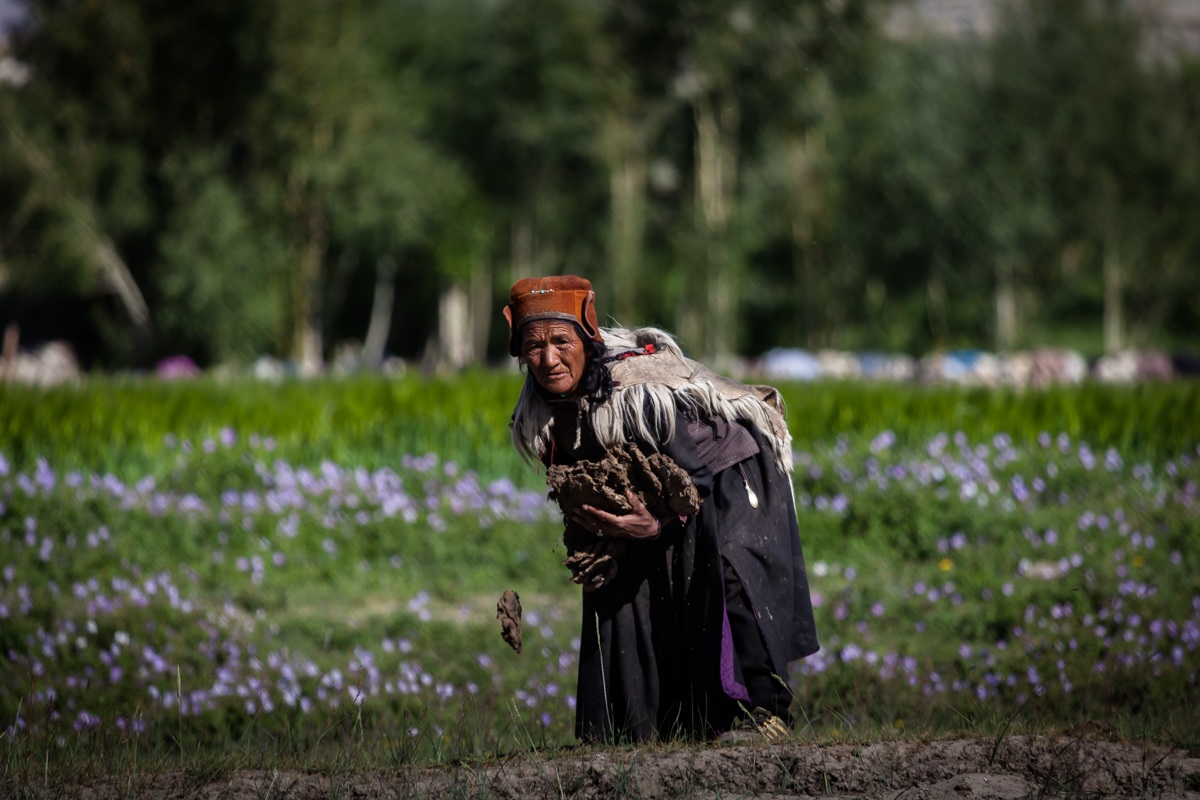 alternative energy (downstream of zanskar - ladakh)