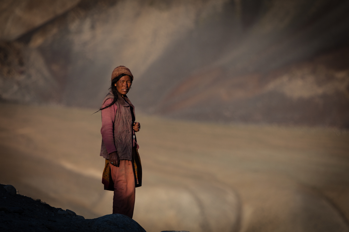 waiting for the flocks (Valley zanskar - ladakh)