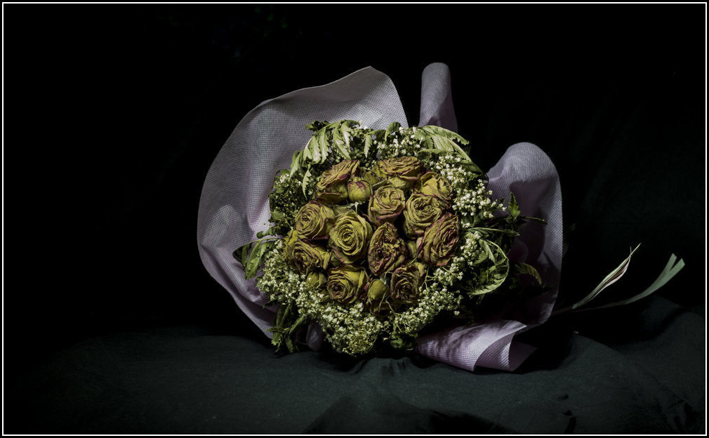 Still life painting in light