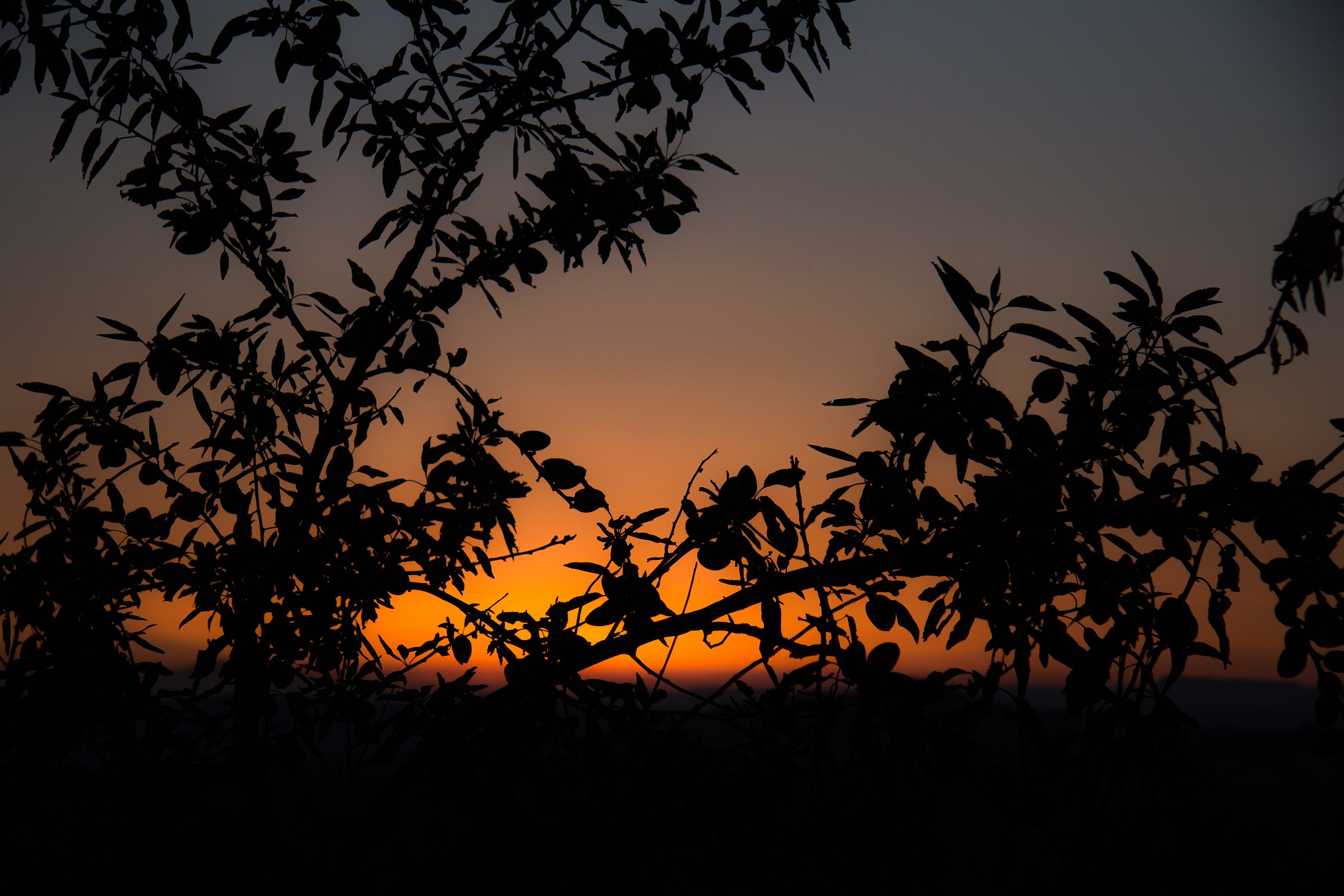 Alba a Riesi-Agrigento