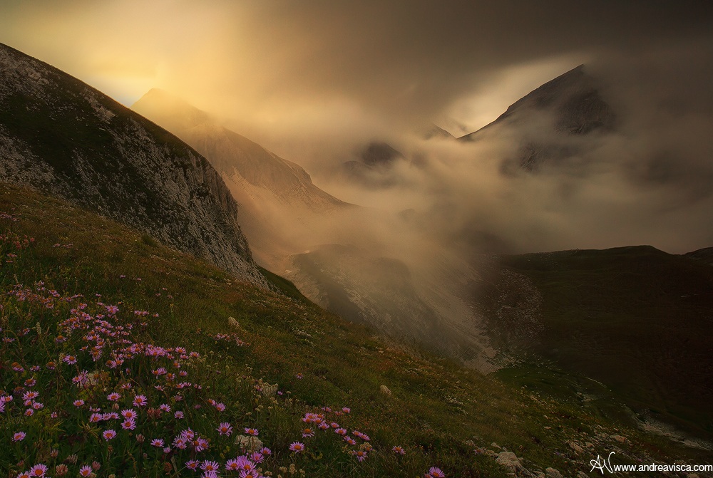 The caress of the wind