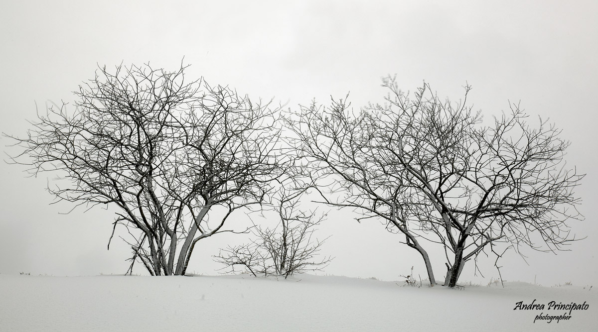 Monte Settepani (Savona)