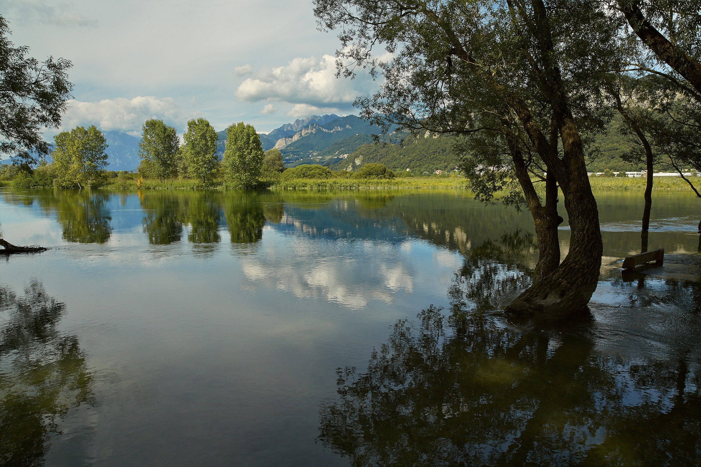 how much water the river Adda