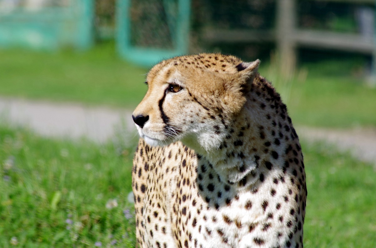 zoo safari Varallo Pombia