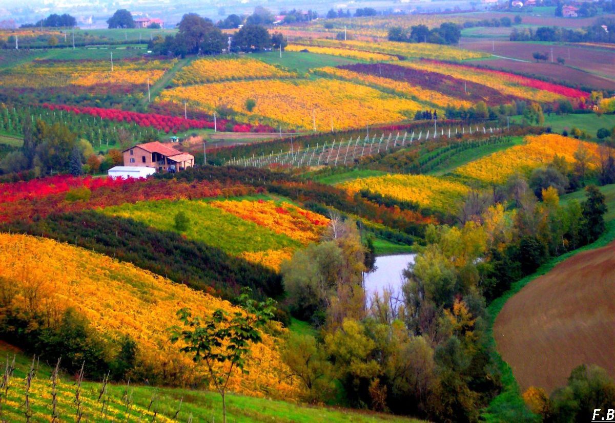 nebbia a fondo valle