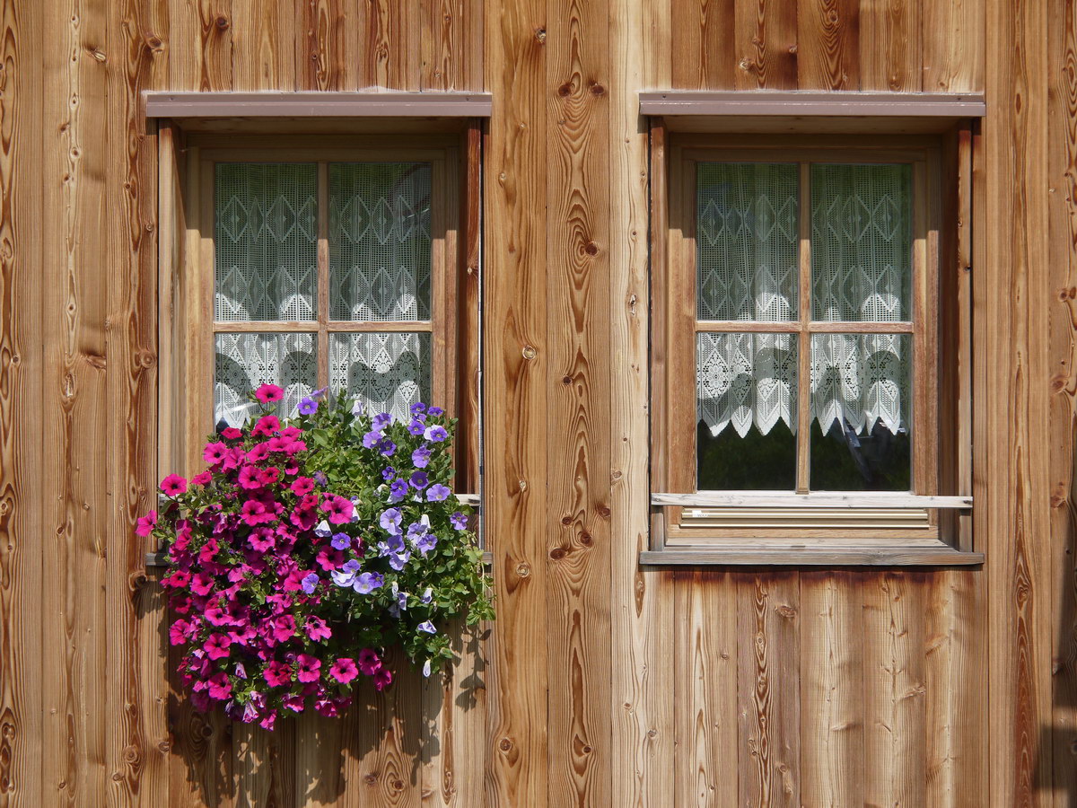 Fiori alla finestra, vicino a la Villa in Badia