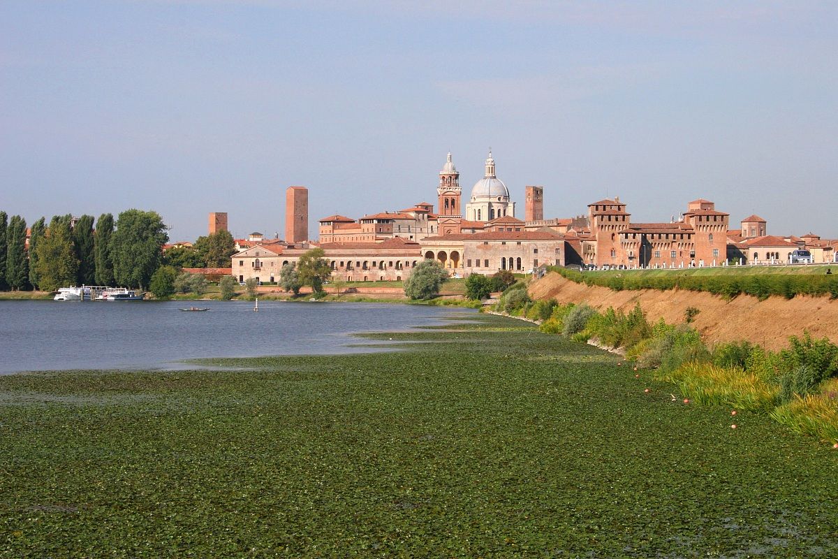 Mantua