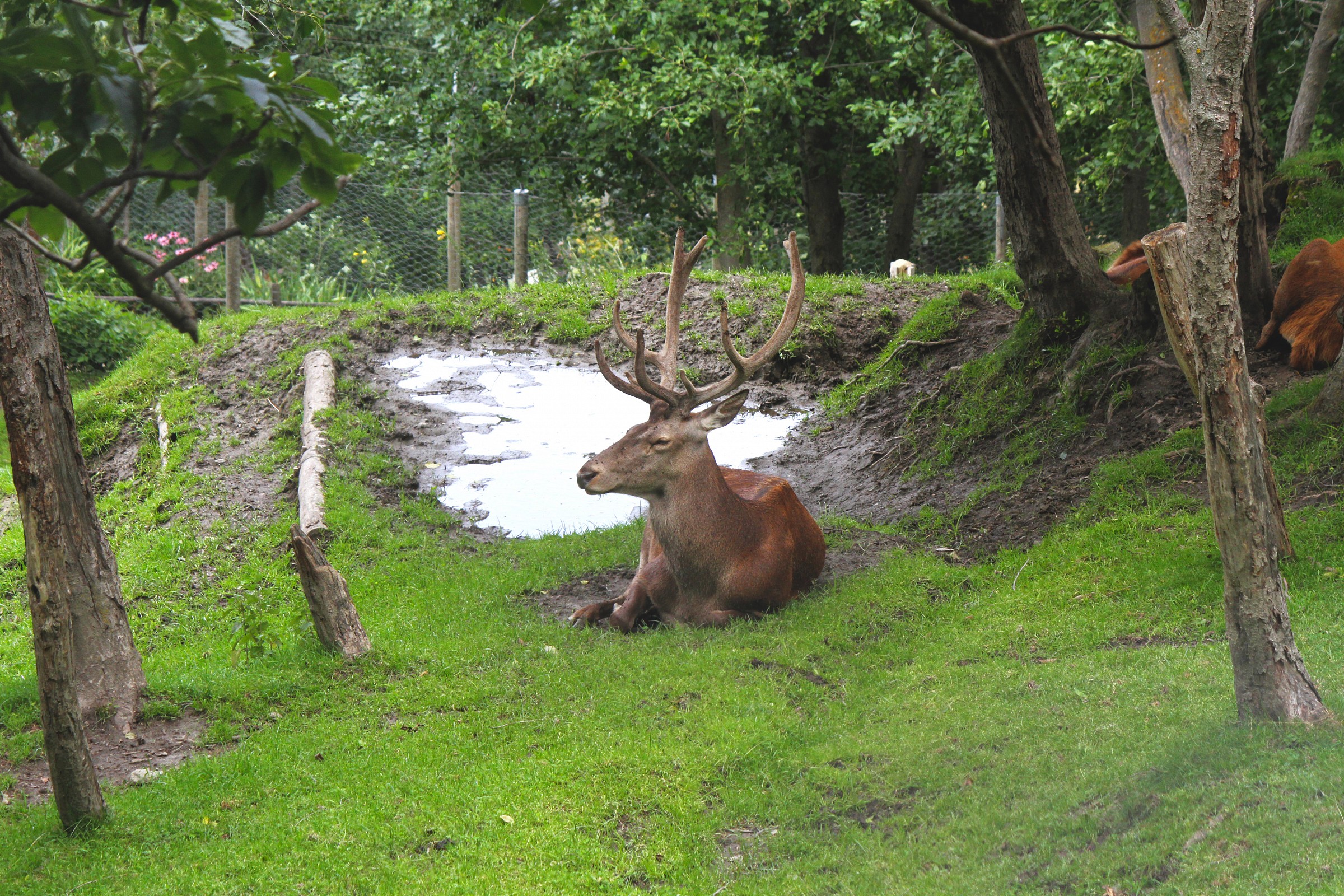 natural park of introd