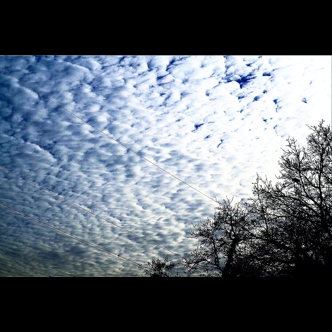 Mackerel sky