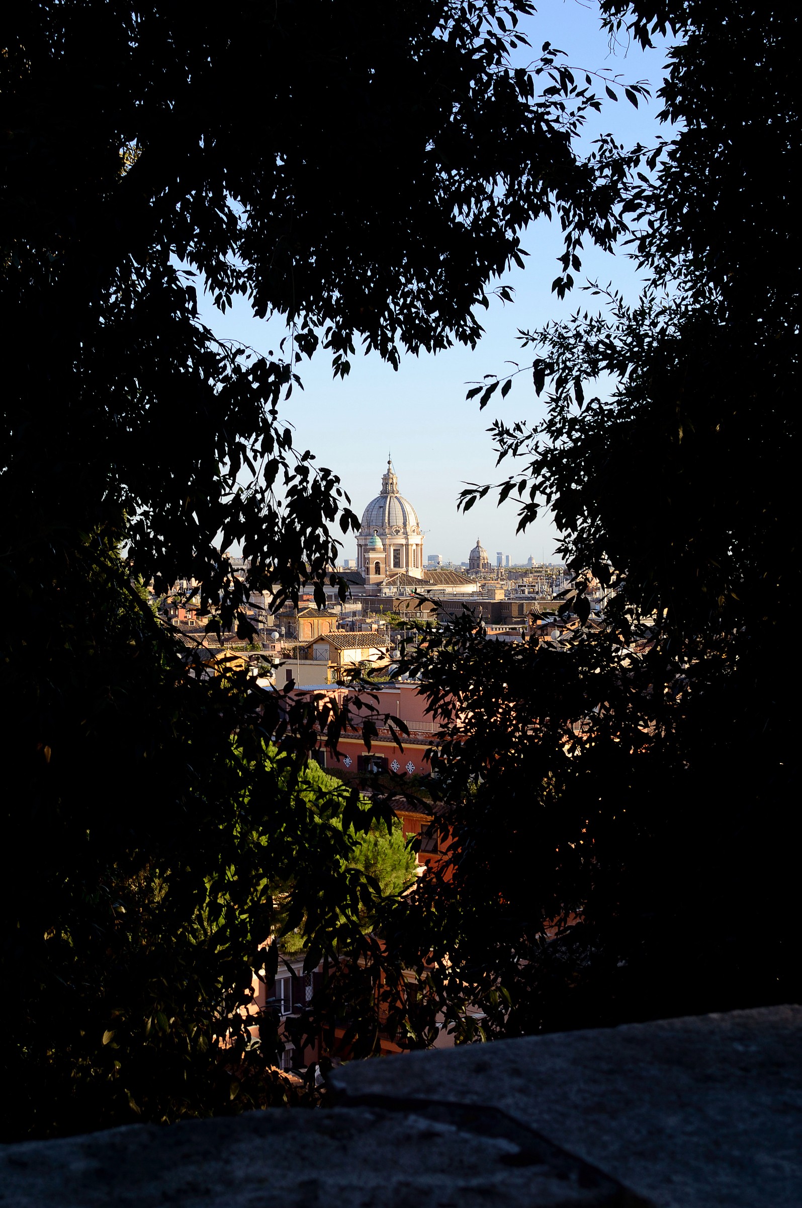 A view through the trees