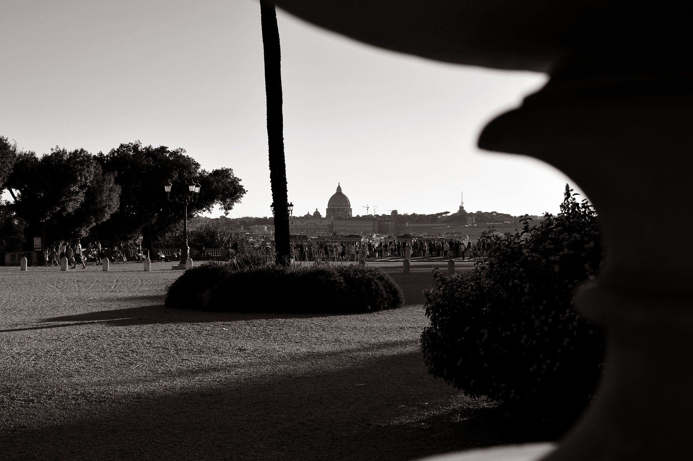 Pincio Black & White