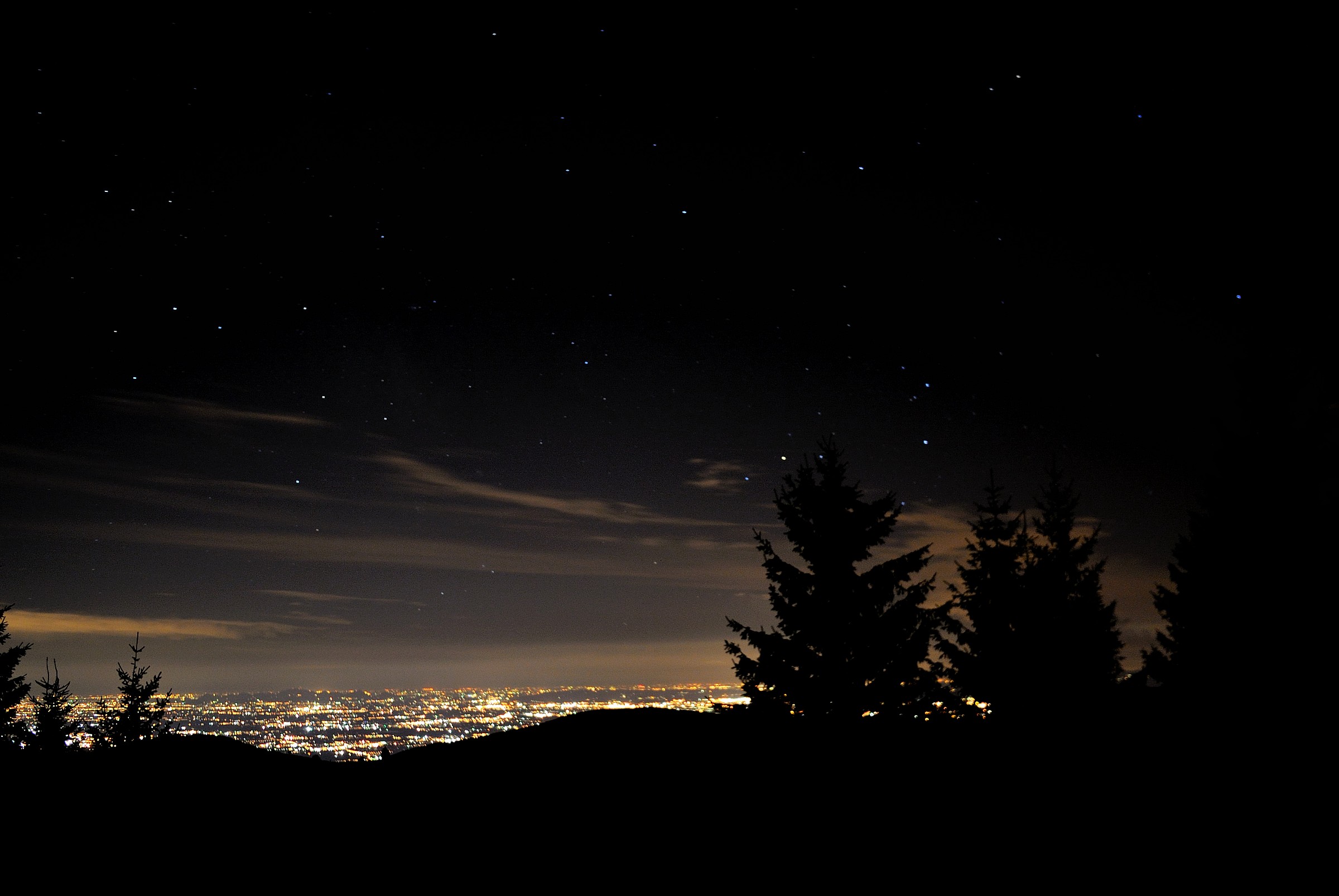 The Human Factor ...