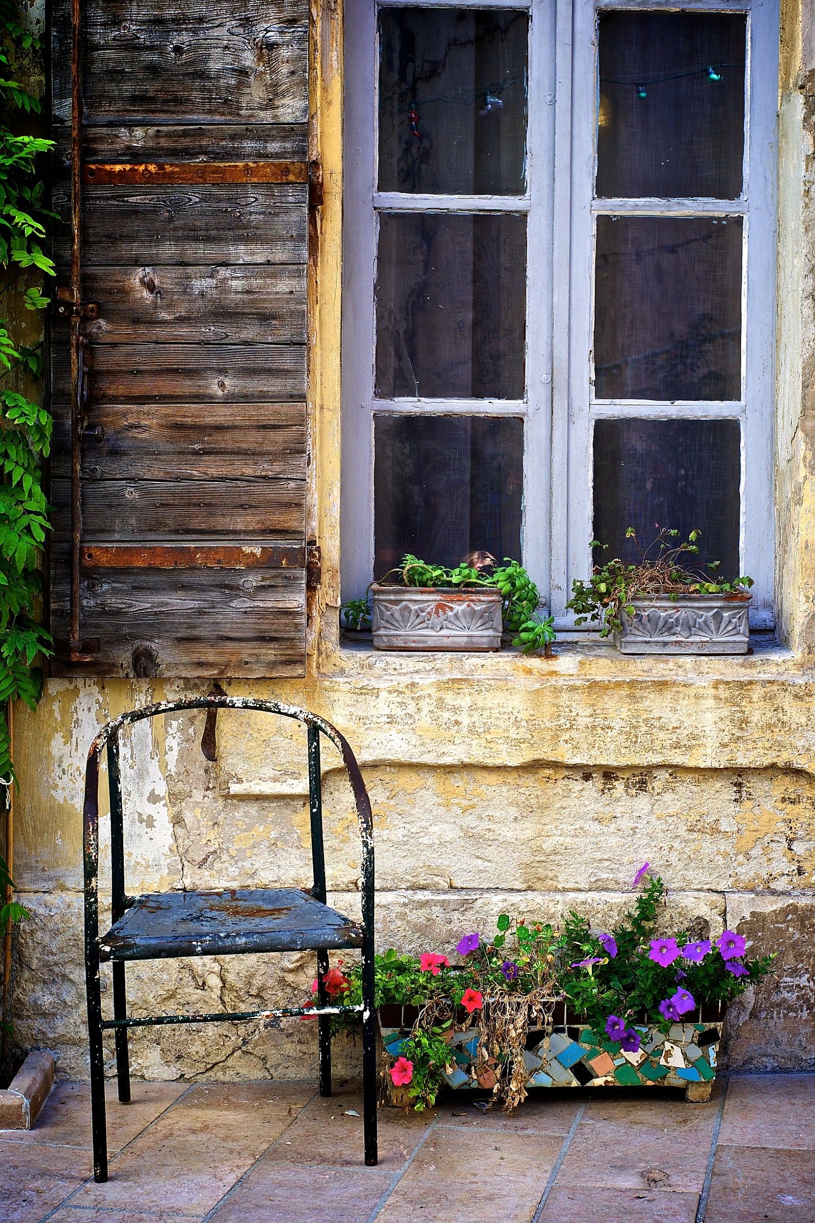 Synecdoche of provence