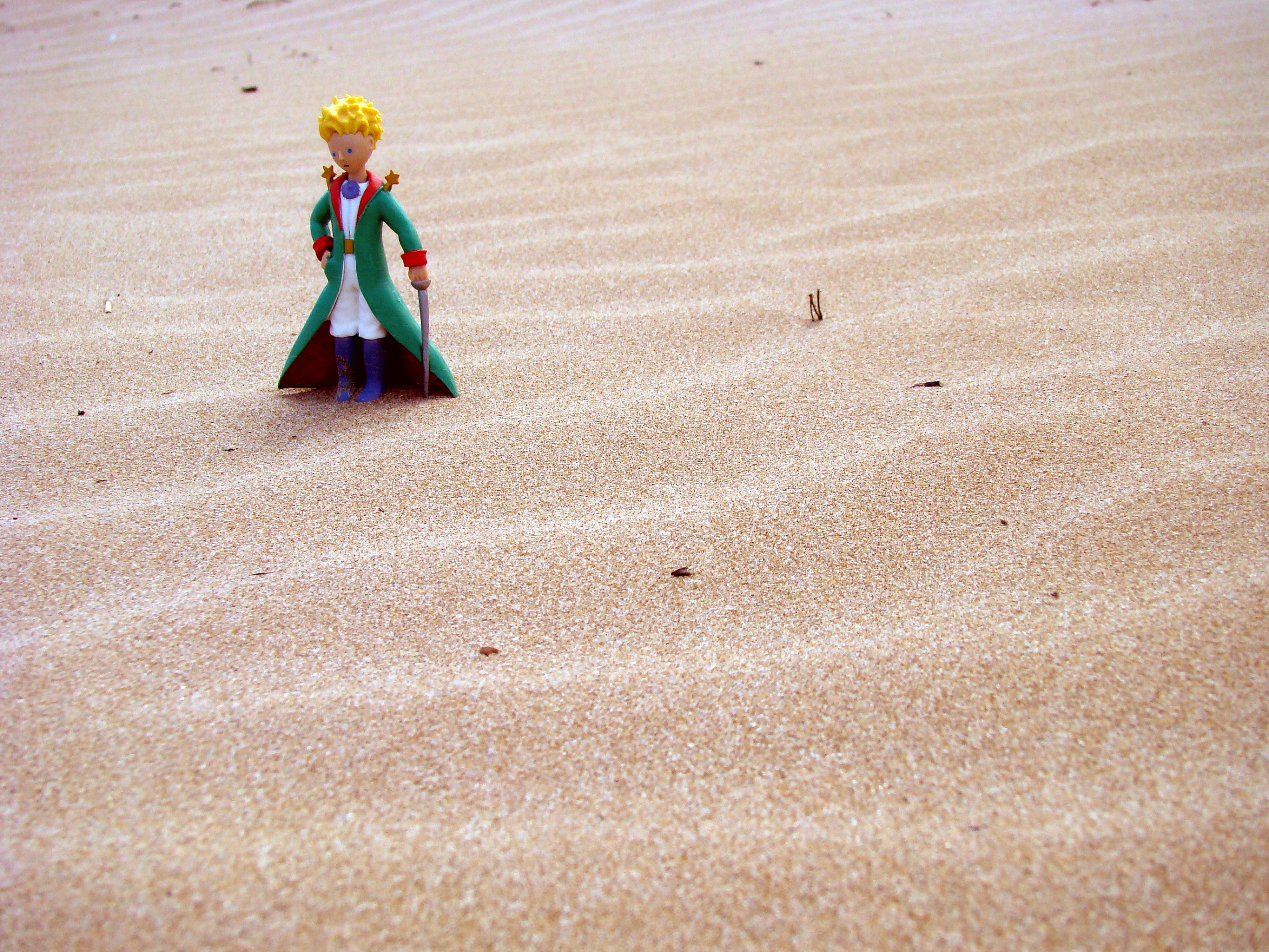 Il Piccolo Principe e il deserto....