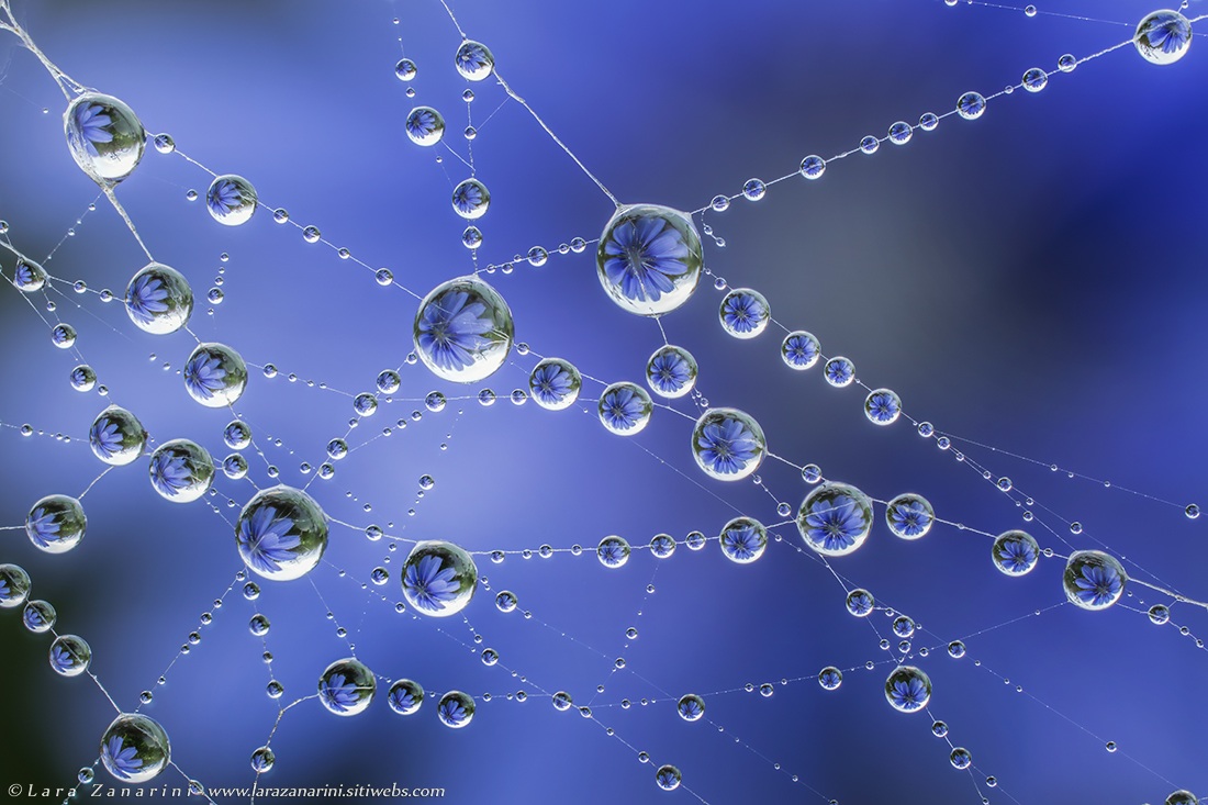 this new dawn of peace and harmony notes the coron