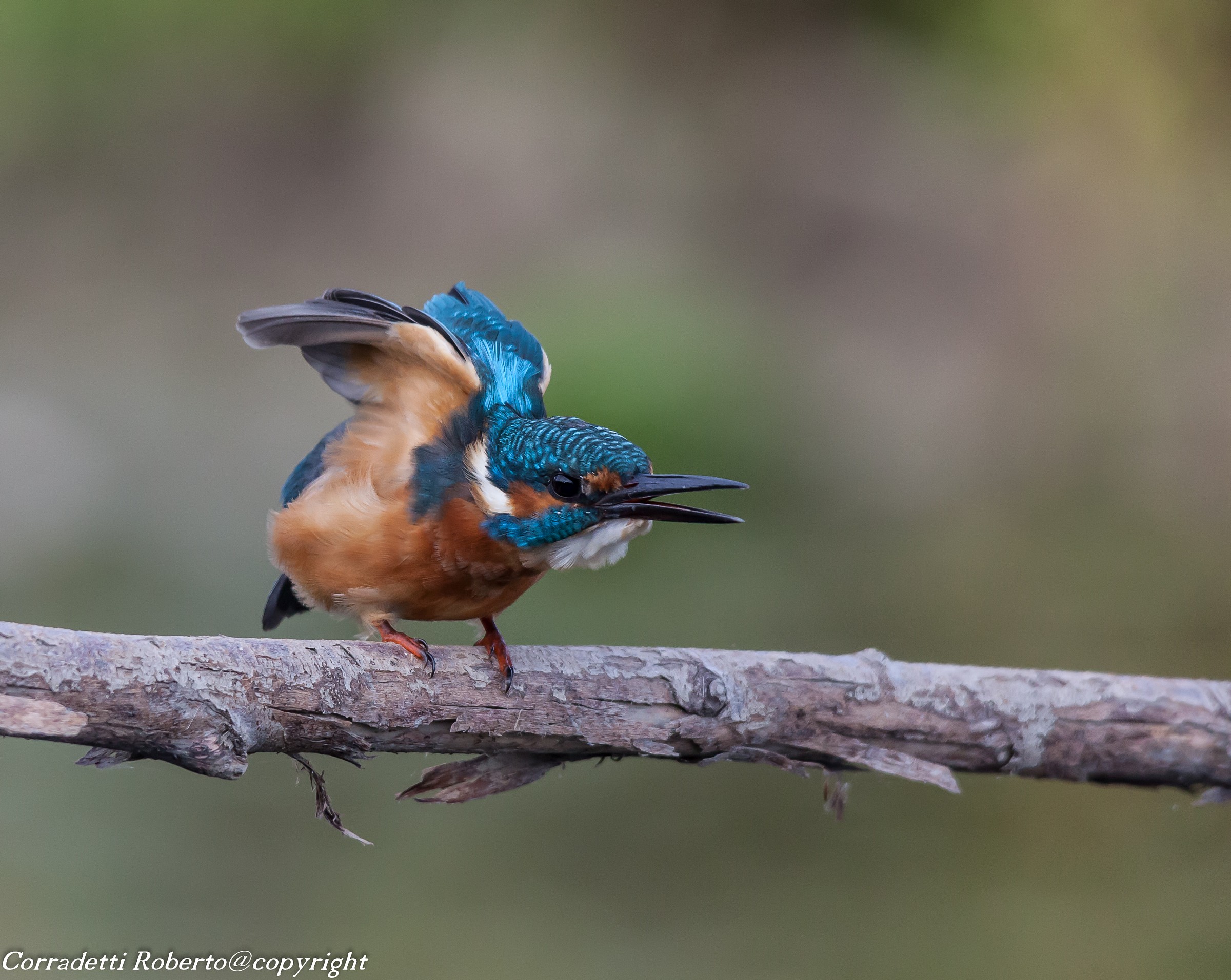 Ready ... out .... VIA.