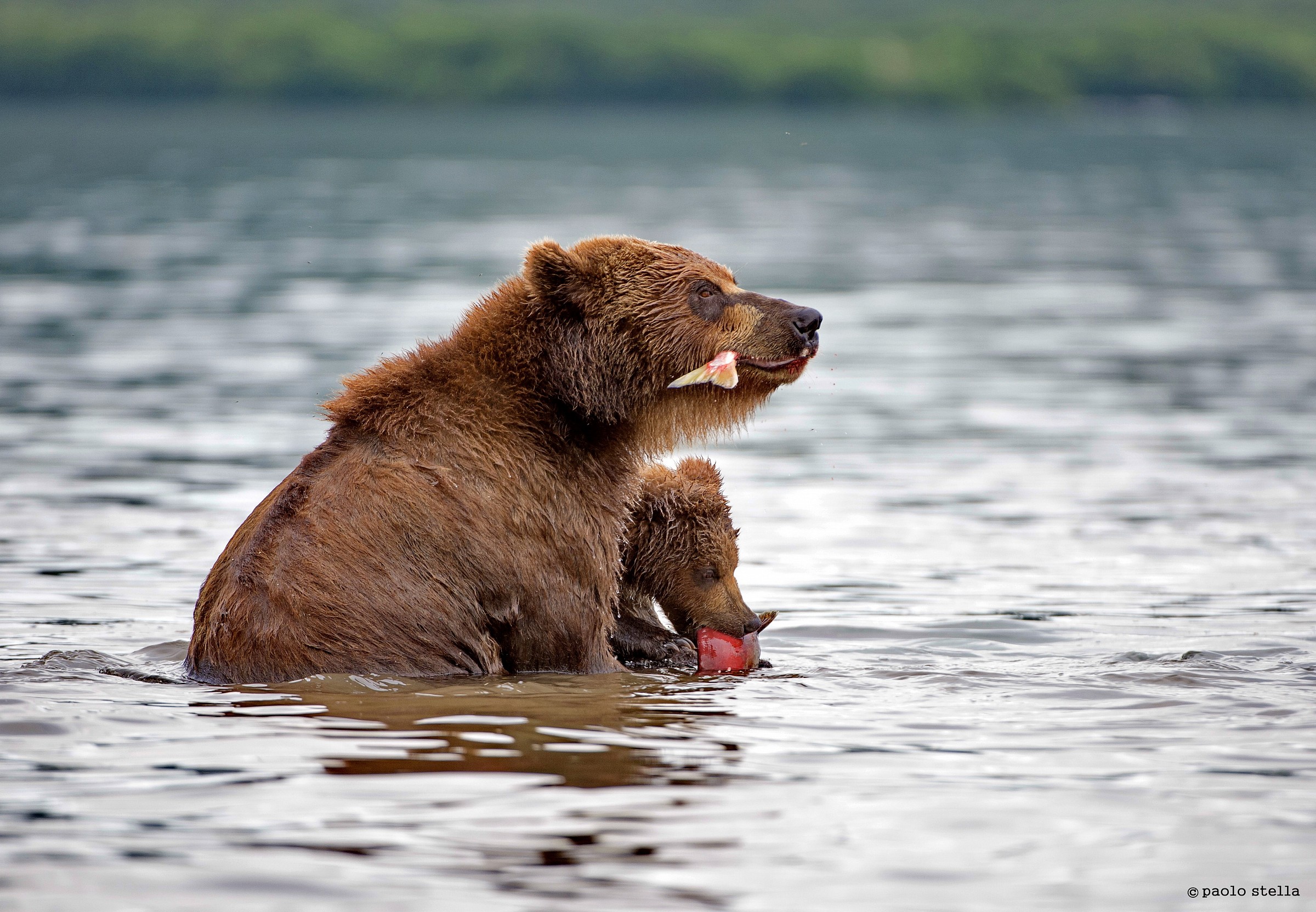 eating with mom