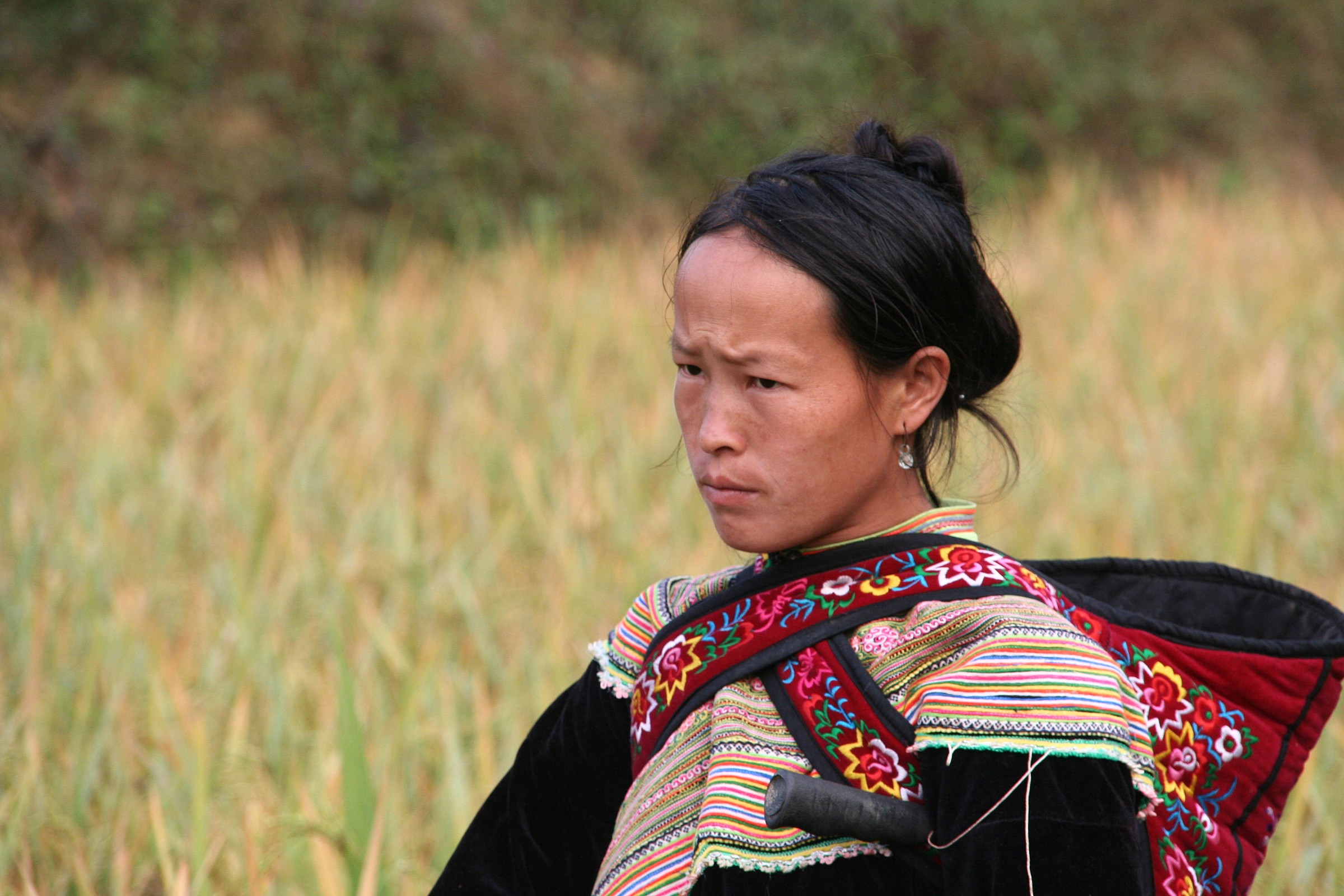 Vietnam Nella campagna