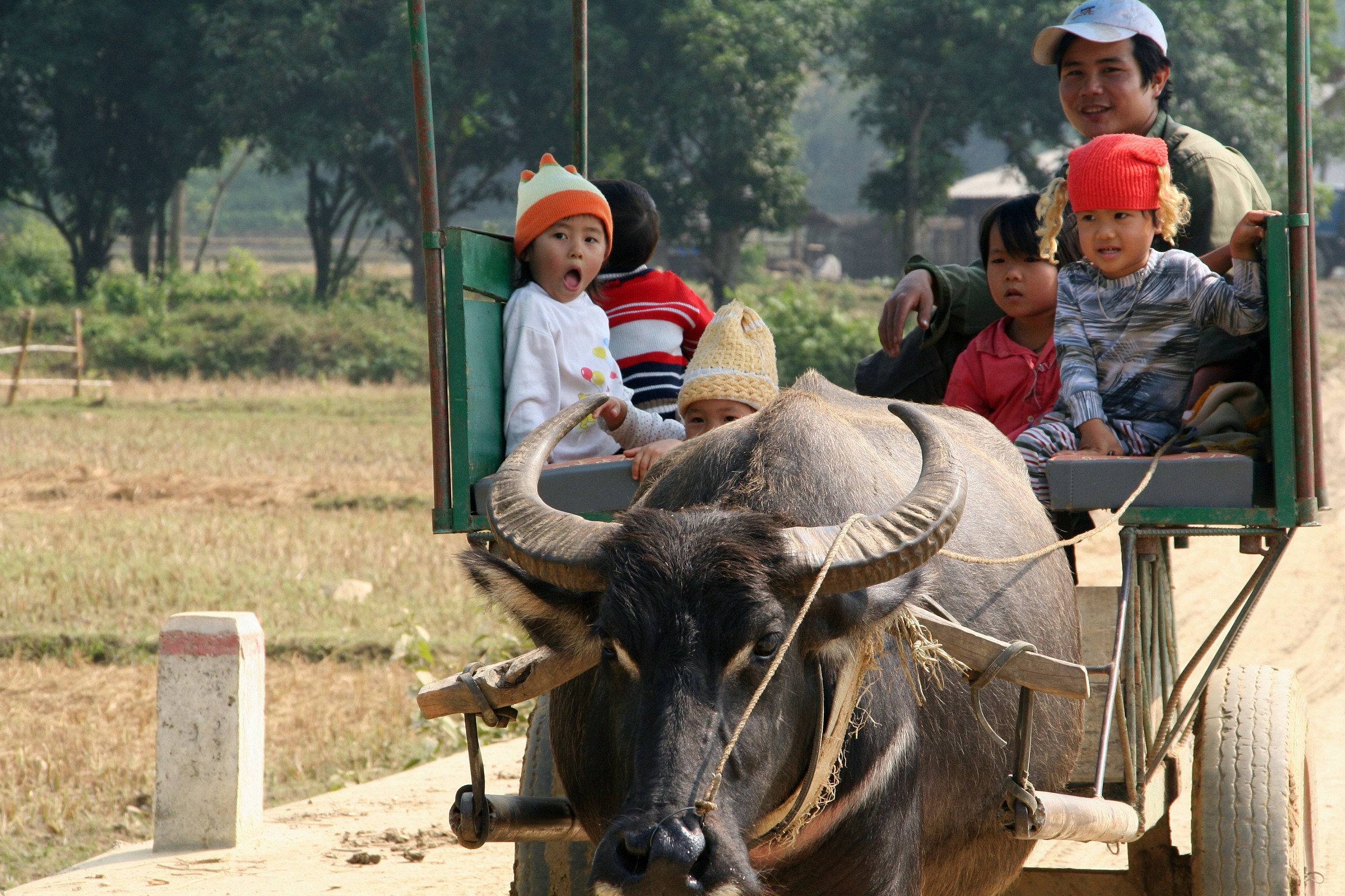 Vietnam Sul carretto