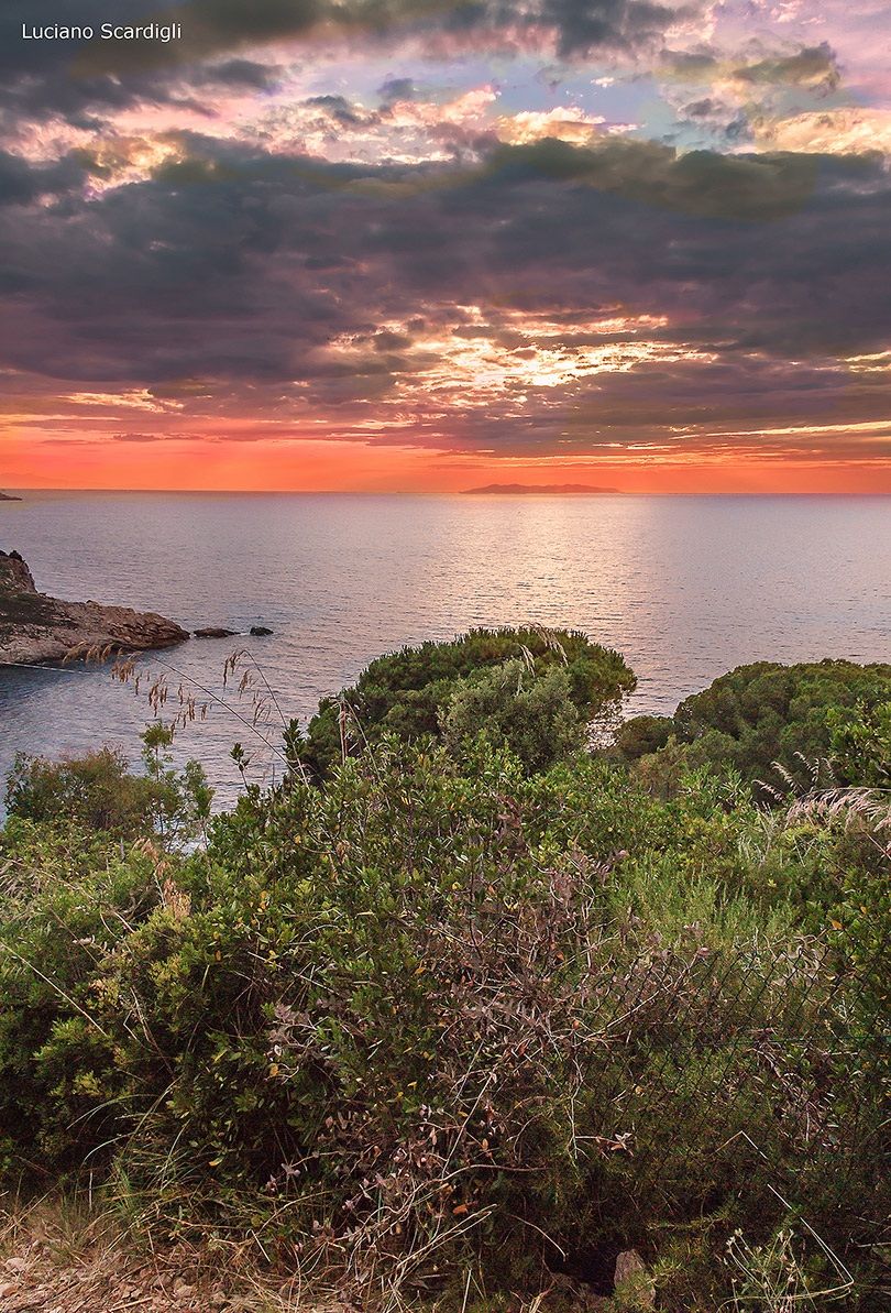 Tramonto sulla Capraia