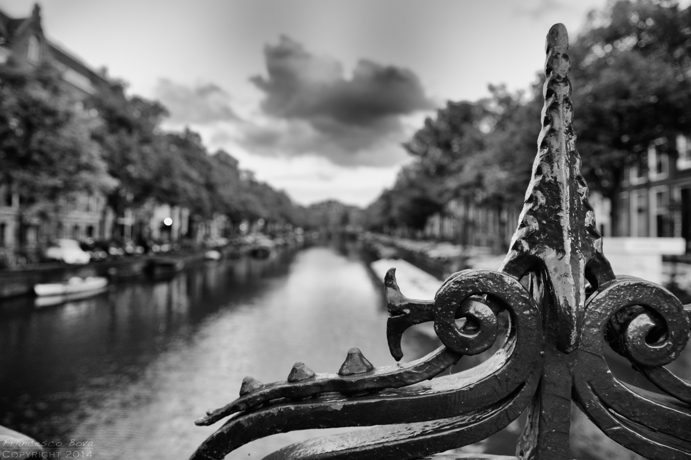Canals of Amsterdam