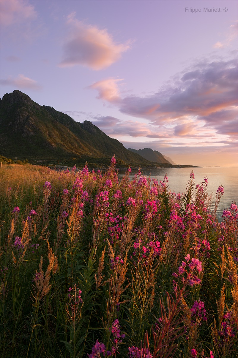 Sunset over the North Sea - Norway
