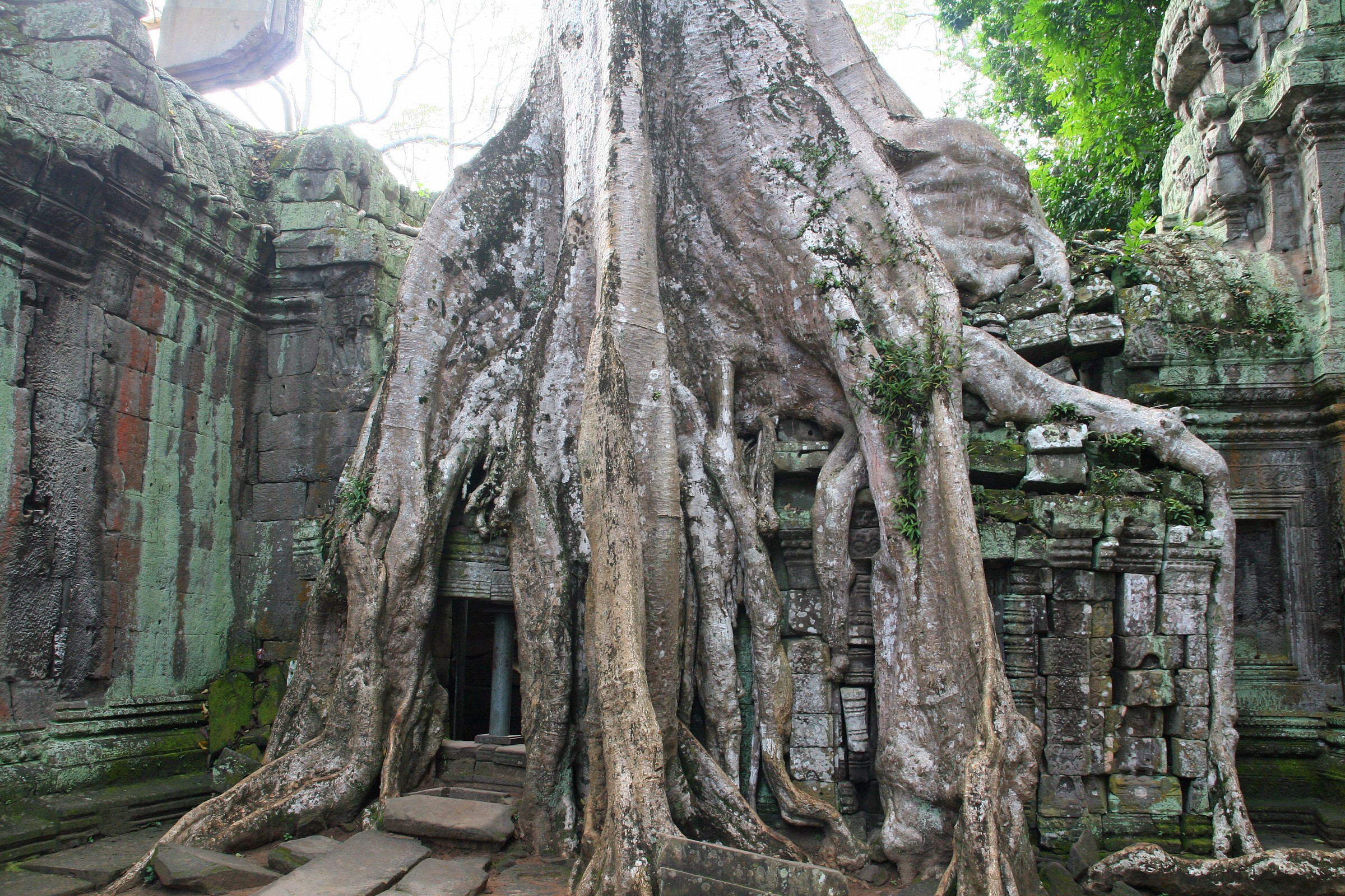 Angkor
