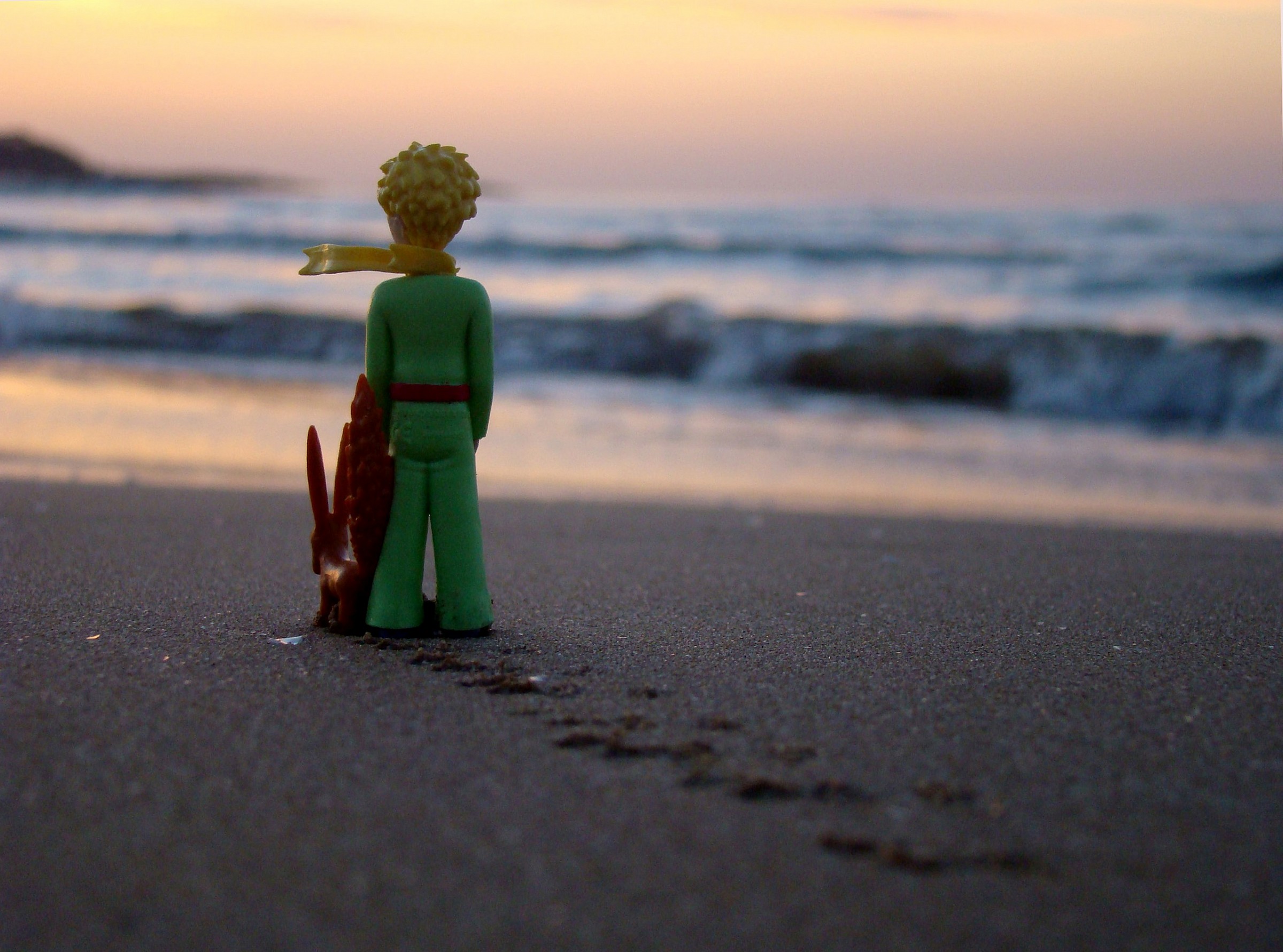 "... I am a fox," said the Little Prince ...