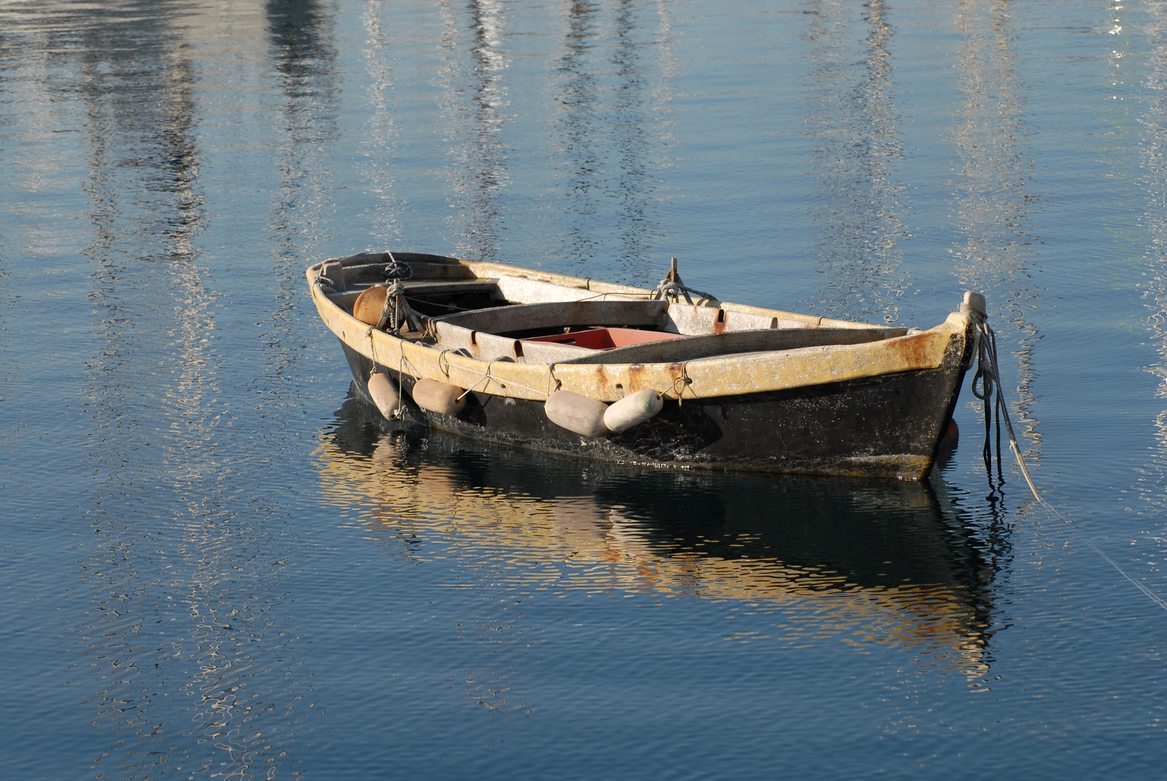 All alone in Trieste